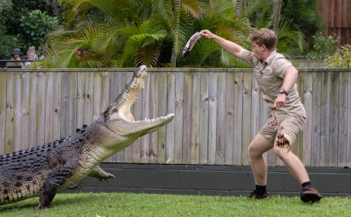Australia Zoo